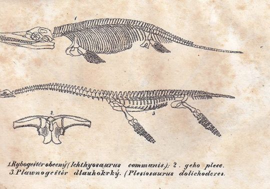 Forensics_Ichthyosaurus_and_Plesiosaurus